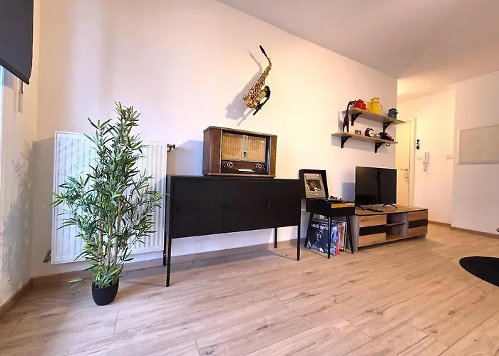 Jazz & - T2 - Free Parking - Centre Ville- Apartment Colmar